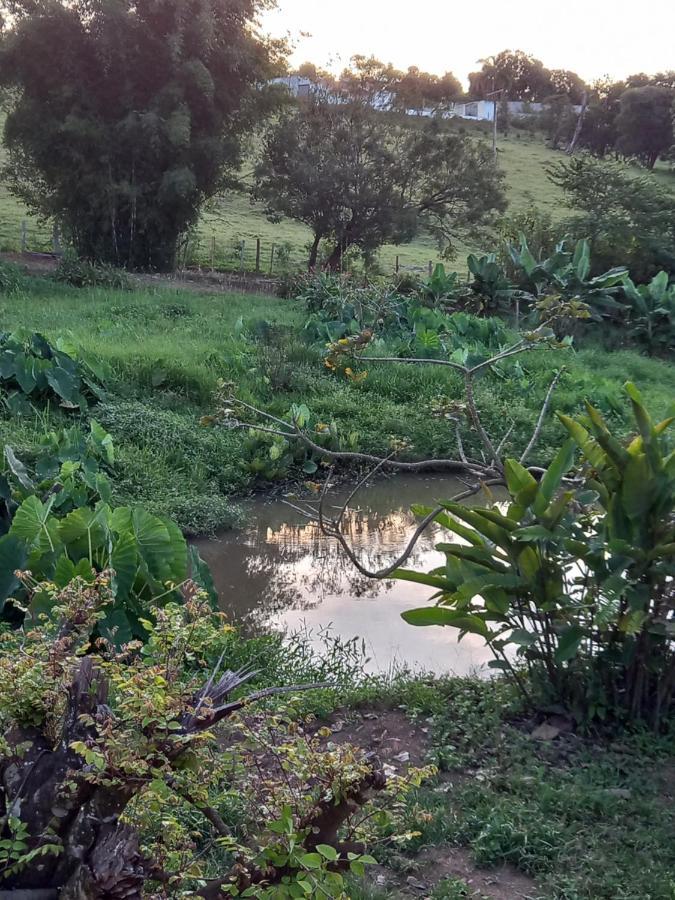 Pousada Recanto Alegre Campestre Exterior foto